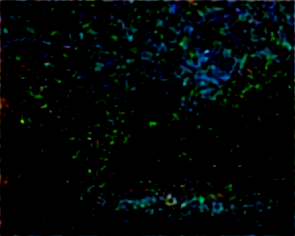 Tempête Goretti : bilan dans l'Aisne